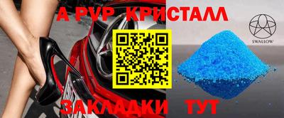 твердый Кингисепп