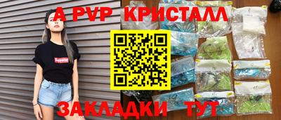 твердый Кингисепп