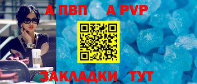 твердый Кингисепп