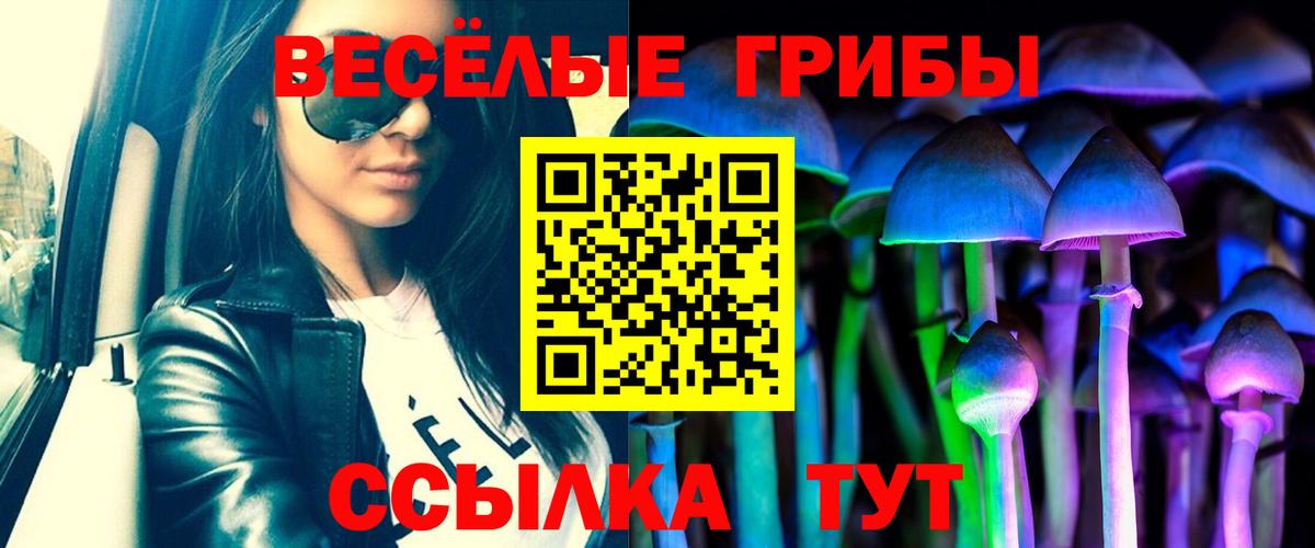 Галлюциногенные грибы Cubensis Корсаков