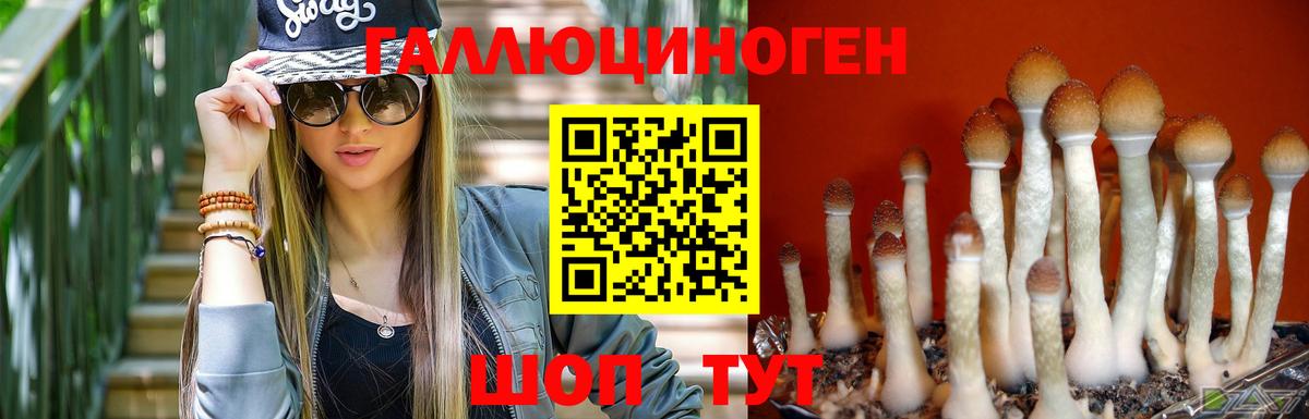 купить наркоту  Псилоцибиновые грибы мицелий  Вход с VPN  Псилоцибиновые грибы мухоморы  Корсаков 